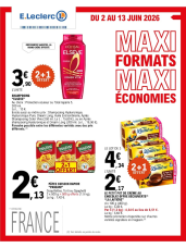  Catalogue MAXI FORMATS MAXI ÉCONOMIES des dernières annonces