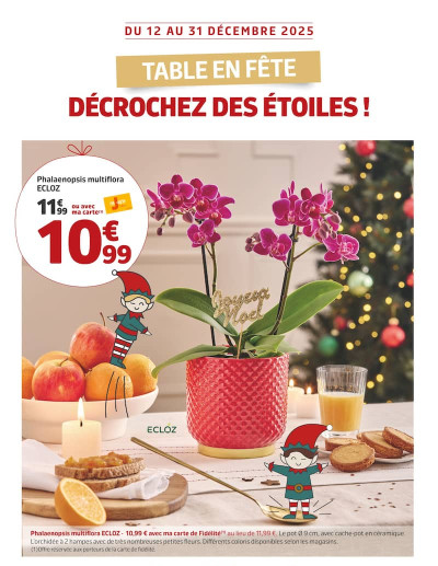 TABLE EN FÊTE DÉCROCHEZ DES ÉTOILES ! des dernières annonces