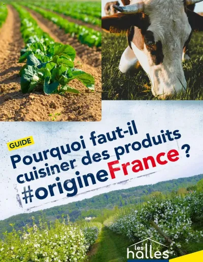 Guide Origine France de la boutique METRO valable du 25/02/2025 des dernières annonces