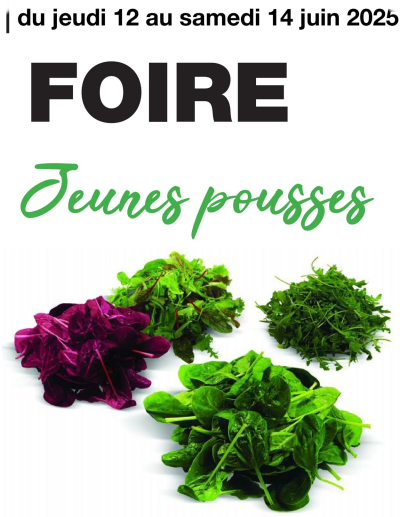 Promocash des dernières annonces