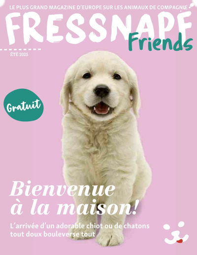 Maxi Zoo des dernières annonces