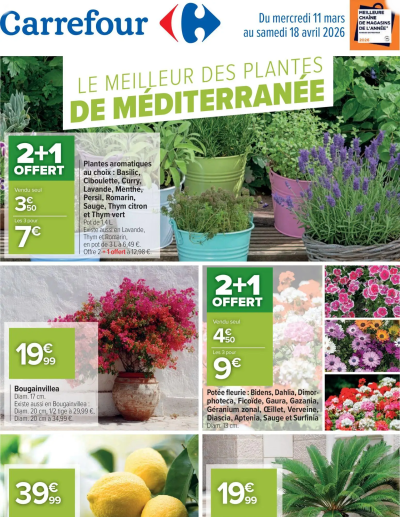 Carrefour Le meilleur des plantes de méditerranée de la boutique Carrefour valable du 11/03/2026 des dernières annonces