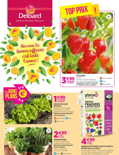  Catalogue Chez nous, les bonnes affaires c'est toute l'année ! des dernières annonces