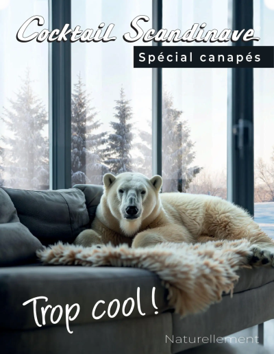  Catalogue Catalogue de la boutique Cocktail Scandinave valable du 18/02/2026 des dernières annonces