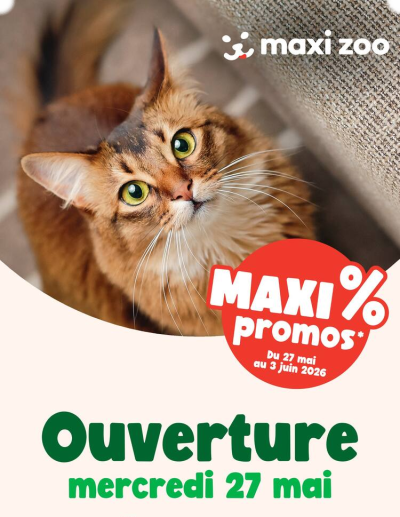 Ouverture
