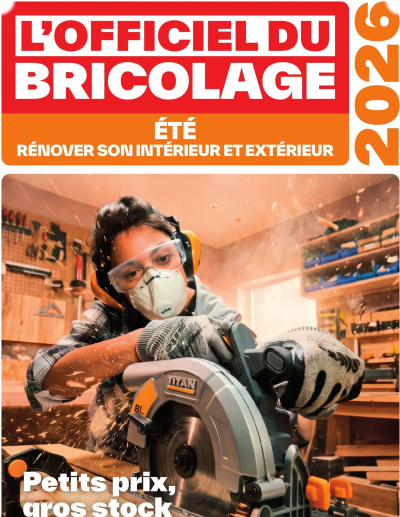 Brico Dépôt