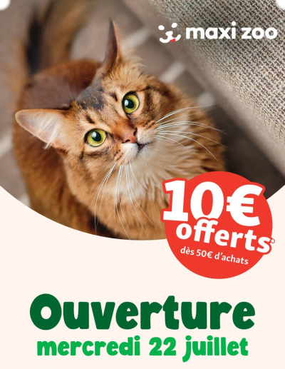 Ouverture des dernières annonces