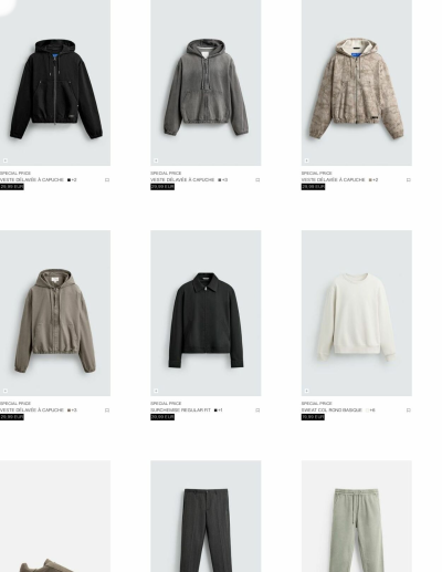 ZARA des dernières annonces