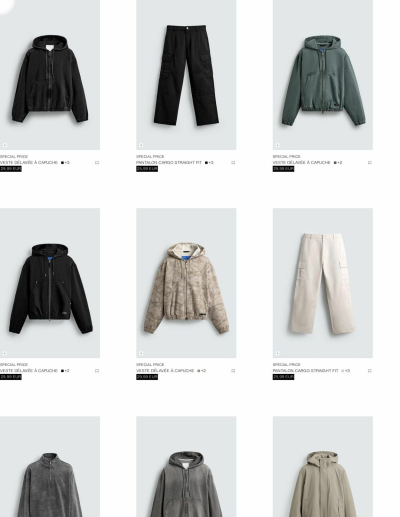 ZARA des dernières annonces
