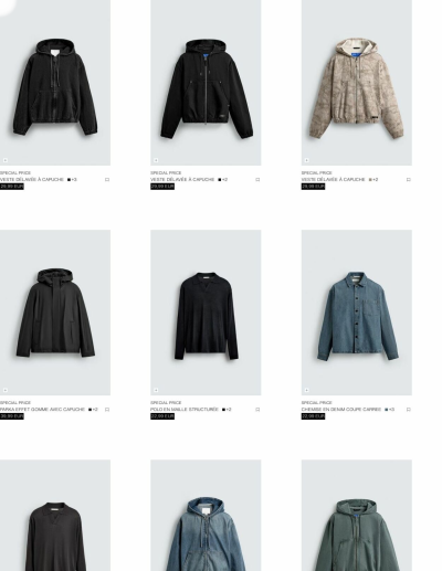ZARA des dernières annonces