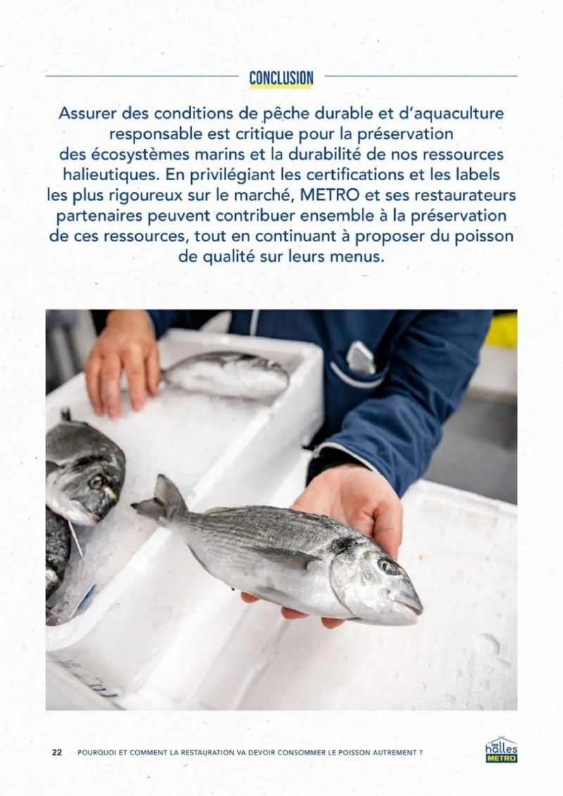 Metro catalogue du 01/09 – page 22
