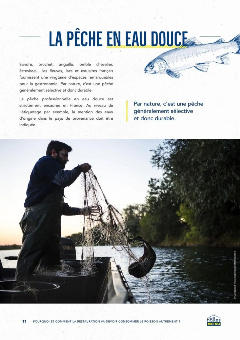 Metro catalogue du 01/09 – page 11
