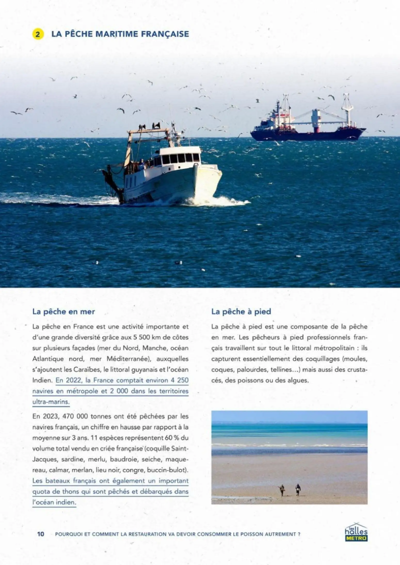 Metro catalogue du 01/09 – page 10