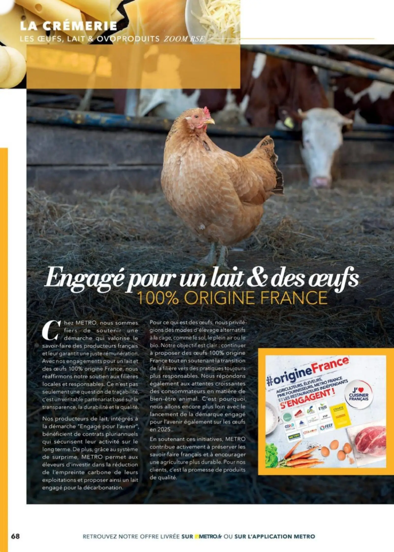 Metro catalogue du 24/04 – page 68