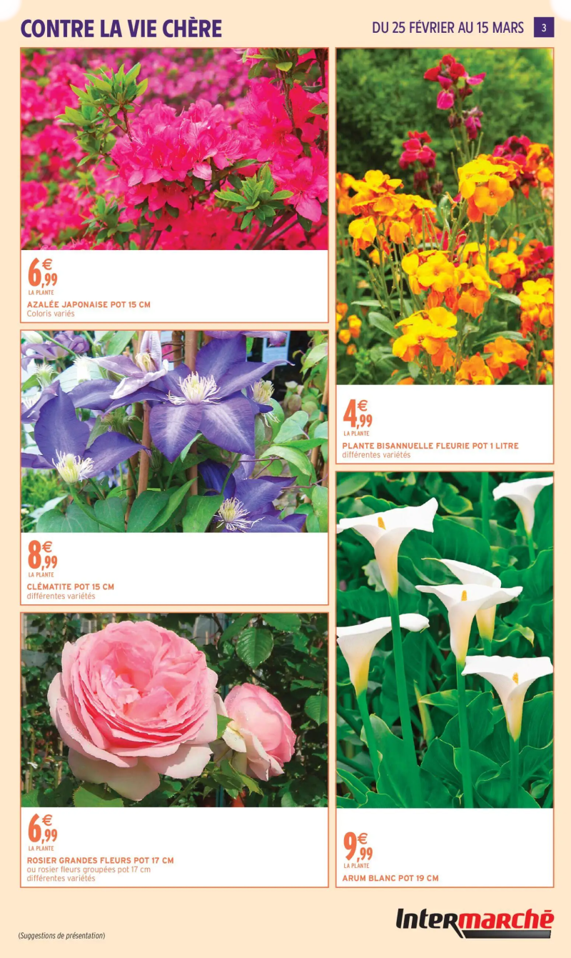 Intermarche catalogue du 24/02 – page 3