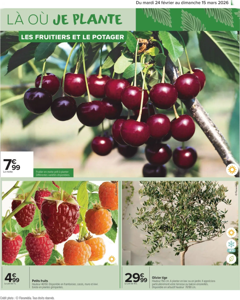 Carrefour Market catalogue du 24/02 – page 7