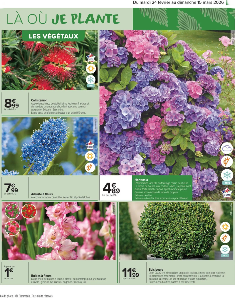 Carrefour Market catalogue du 24/02 – page 5