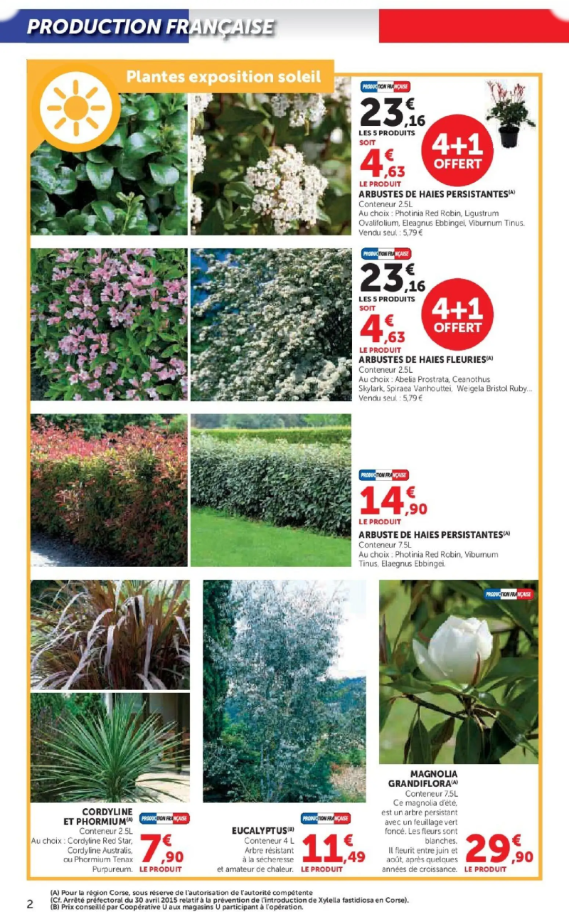 Super U catalogue du 17/02 – page 2