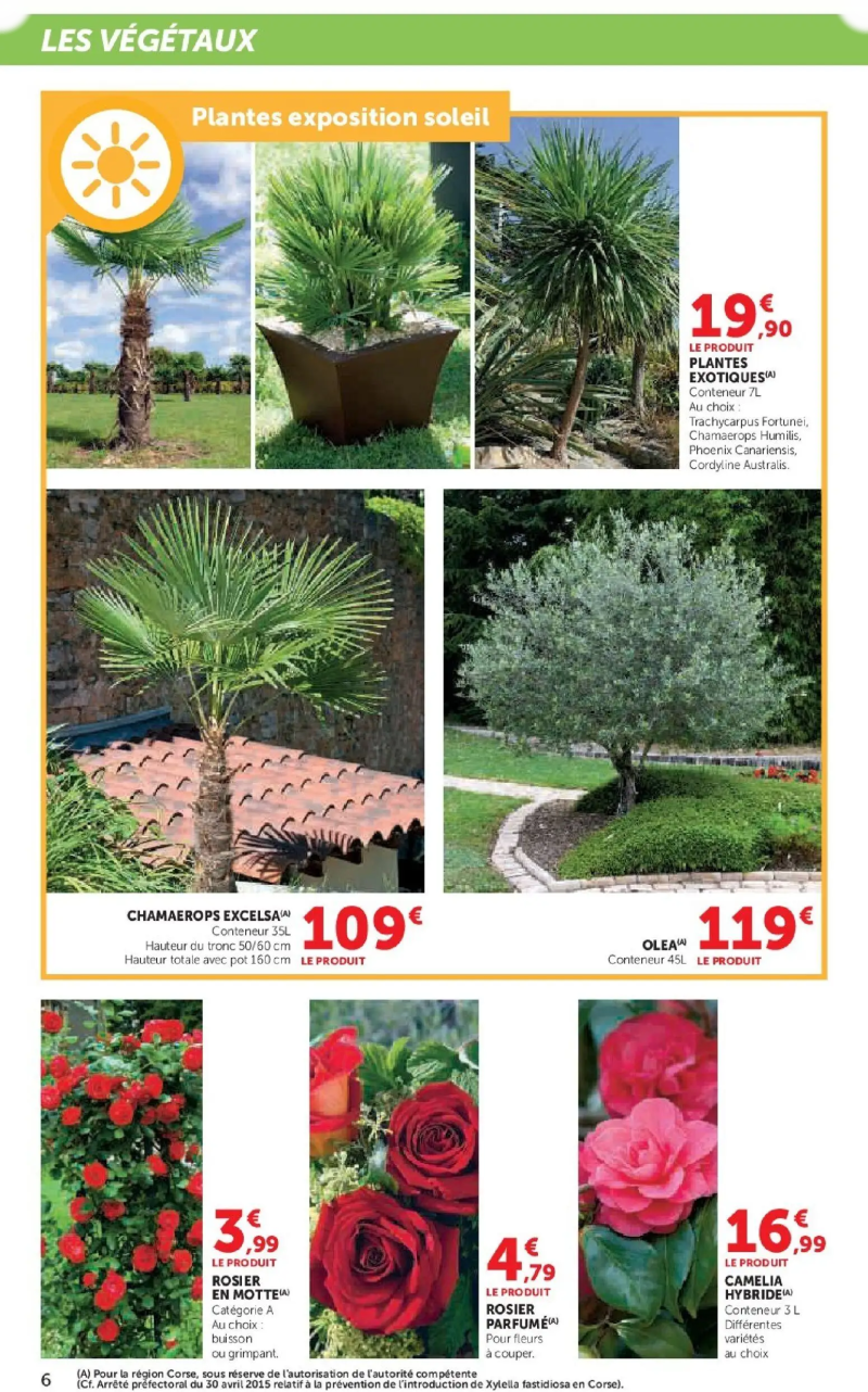 Super U catalogue du 17/02 – page 6