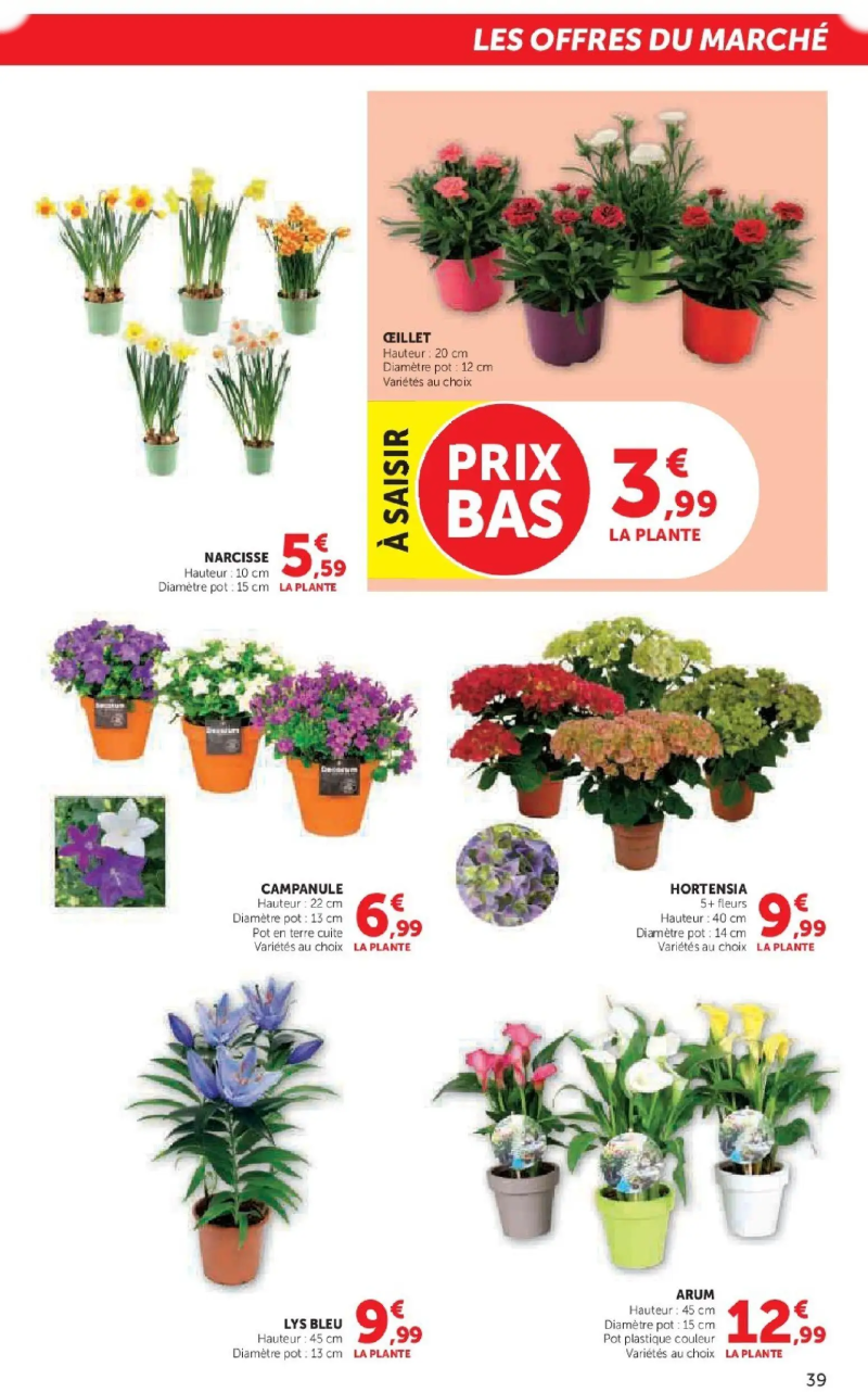 Hyper U catalogue du 17/02 – page 39