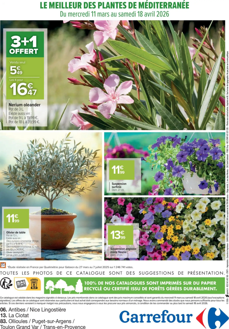 Carrefour catalogue du 11/03 – page 8