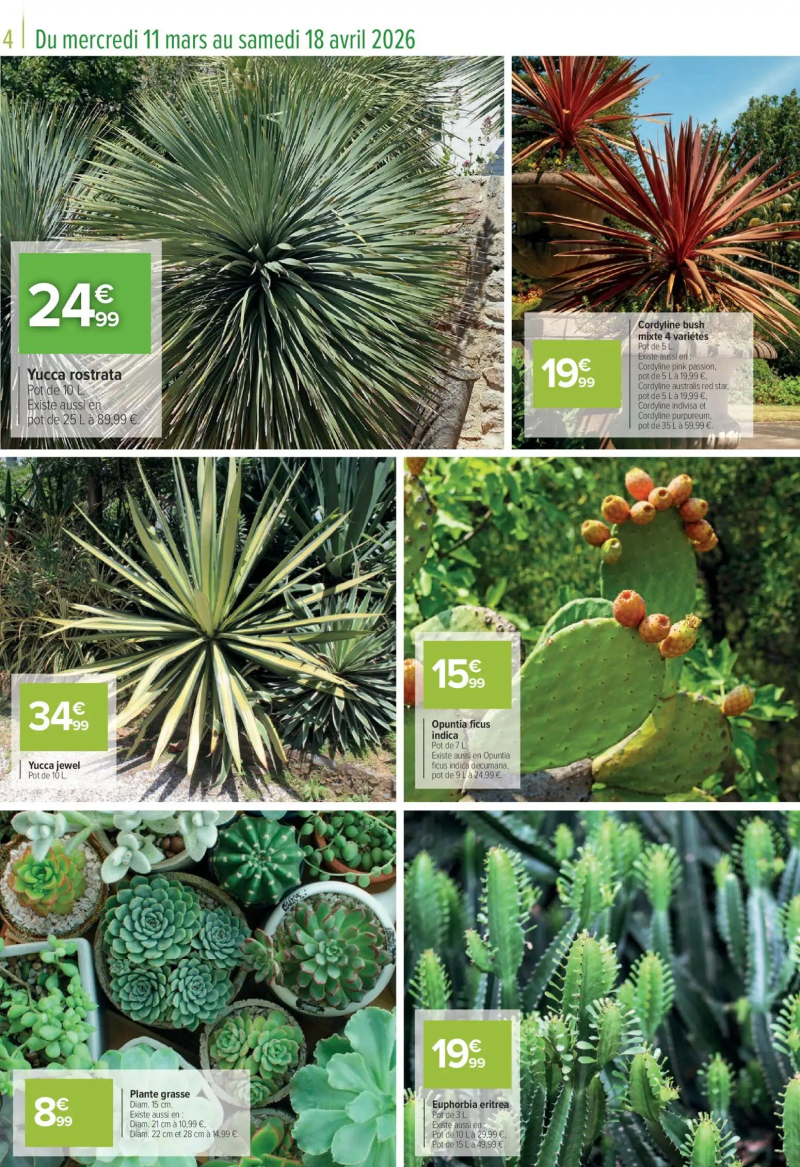 Carrefour catalogue du 11/03 – page 4