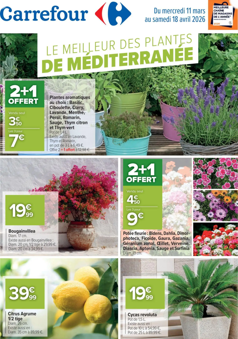 Carrefour catalogue du 11/03 – page 1