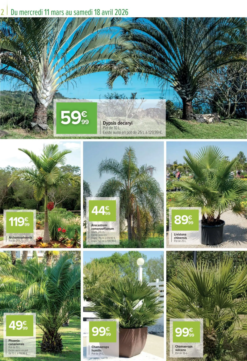 Carrefour catalogue du 11/03 – page 2