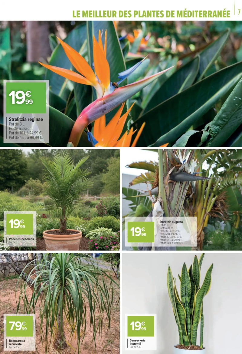 Carrefour catalogue du 11/03 – page 7