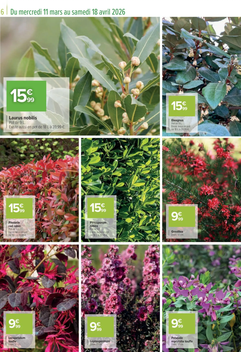 Carrefour catalogue du 11/03 – page 6