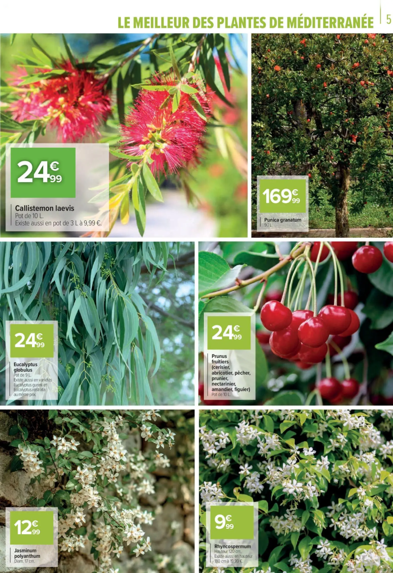 Carrefour catalogue du 11/03 – page 5