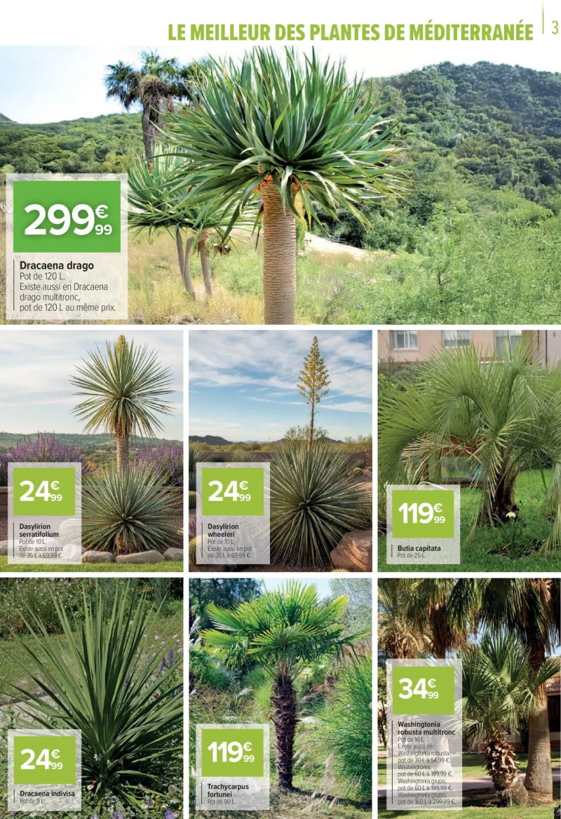 Carrefour catalogue du 11/03 – page 3