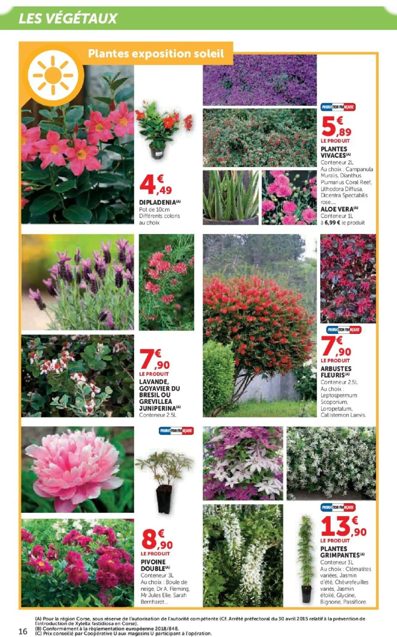 Super U catalogue du 24/03 – page 16
