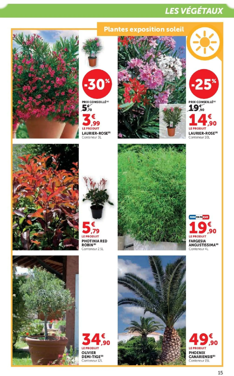 Super U catalogue du 24/03 – page 15