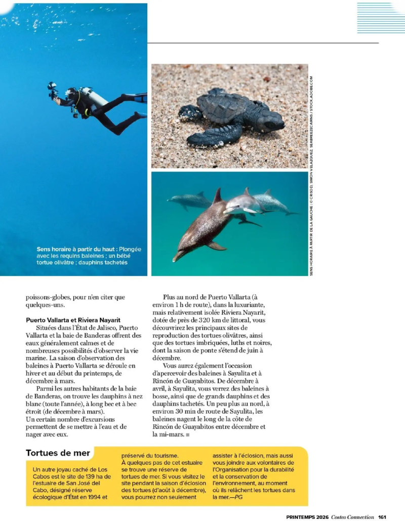 Costco catalogue du 19/03 – page 161