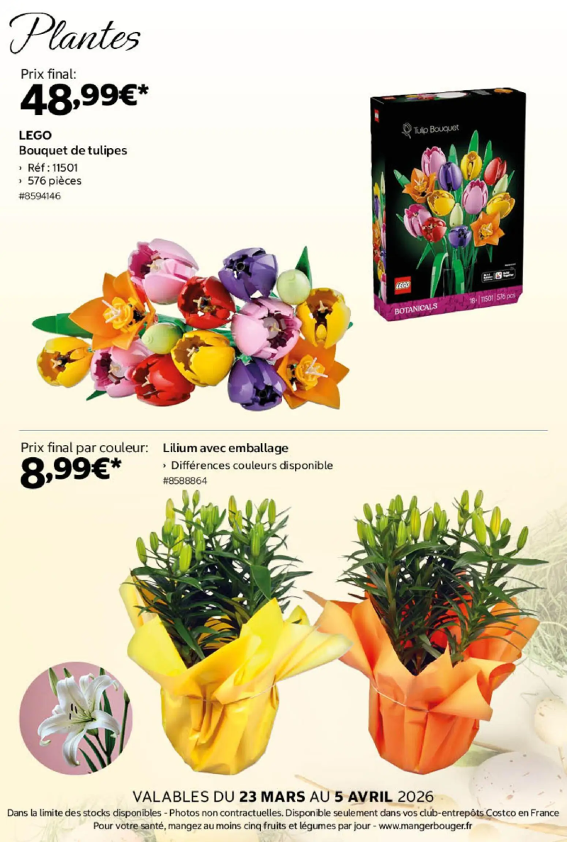 Costco catalogue du 23/03 – page 17