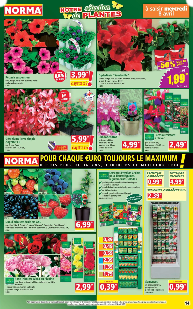 Norma catalogue du 08/04 – page 14