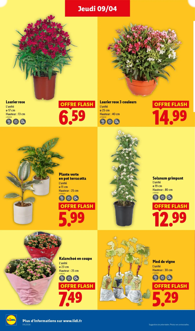 Lidl catalogue du 09/04 – page 26