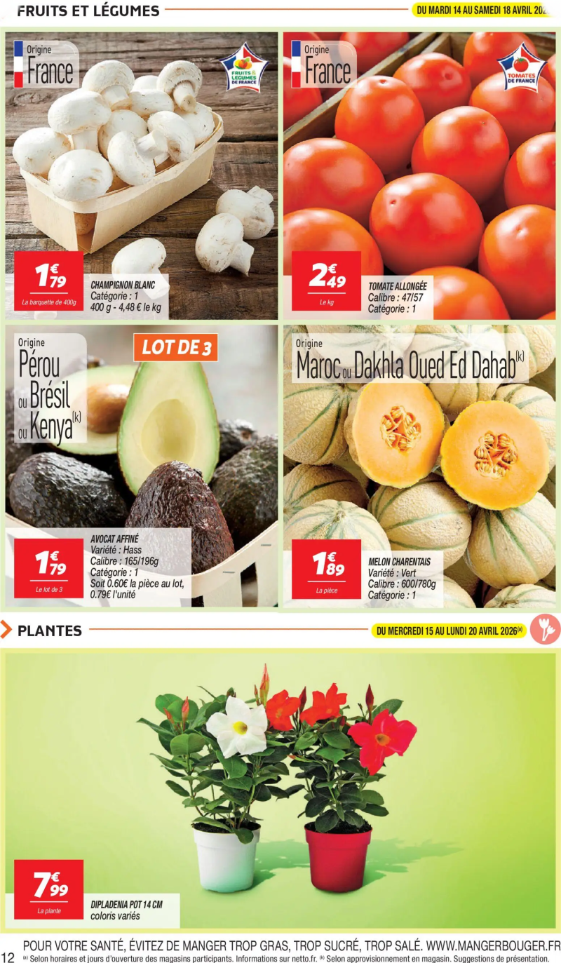 Netto catalogue du 14/04 – page 12