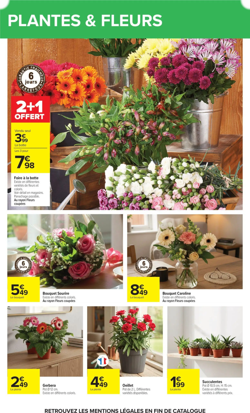 Carrefour catalogue du 14/04 – page 29