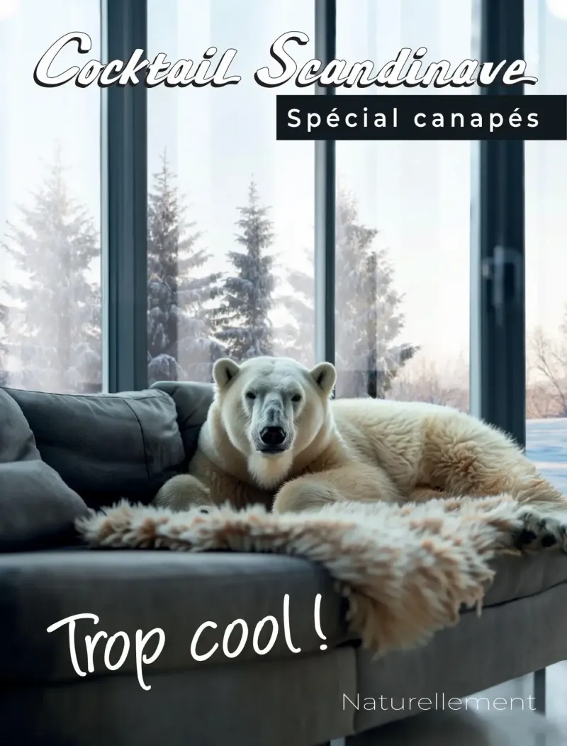 Cocktail Scandinave catalogue du 18/02 – page 1