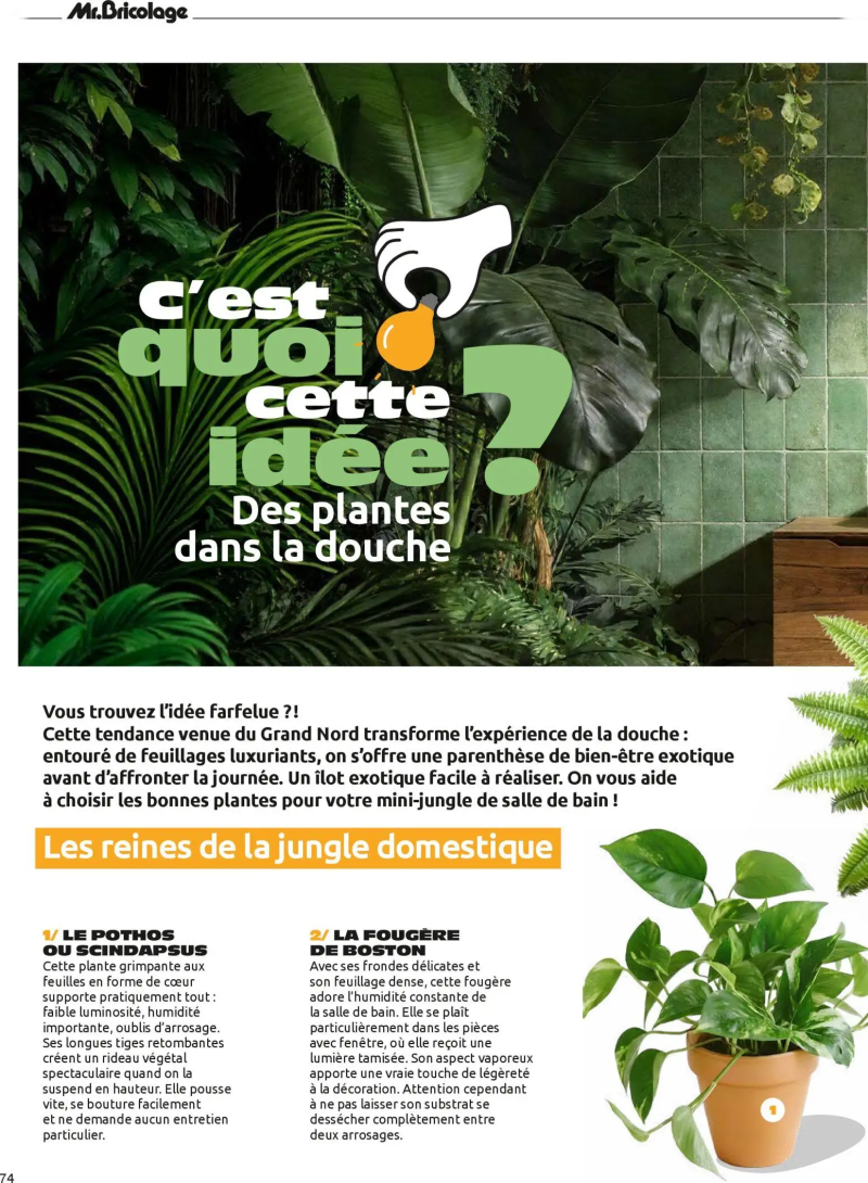 Mr.Bricolage catalogue du 01/04 – page 74