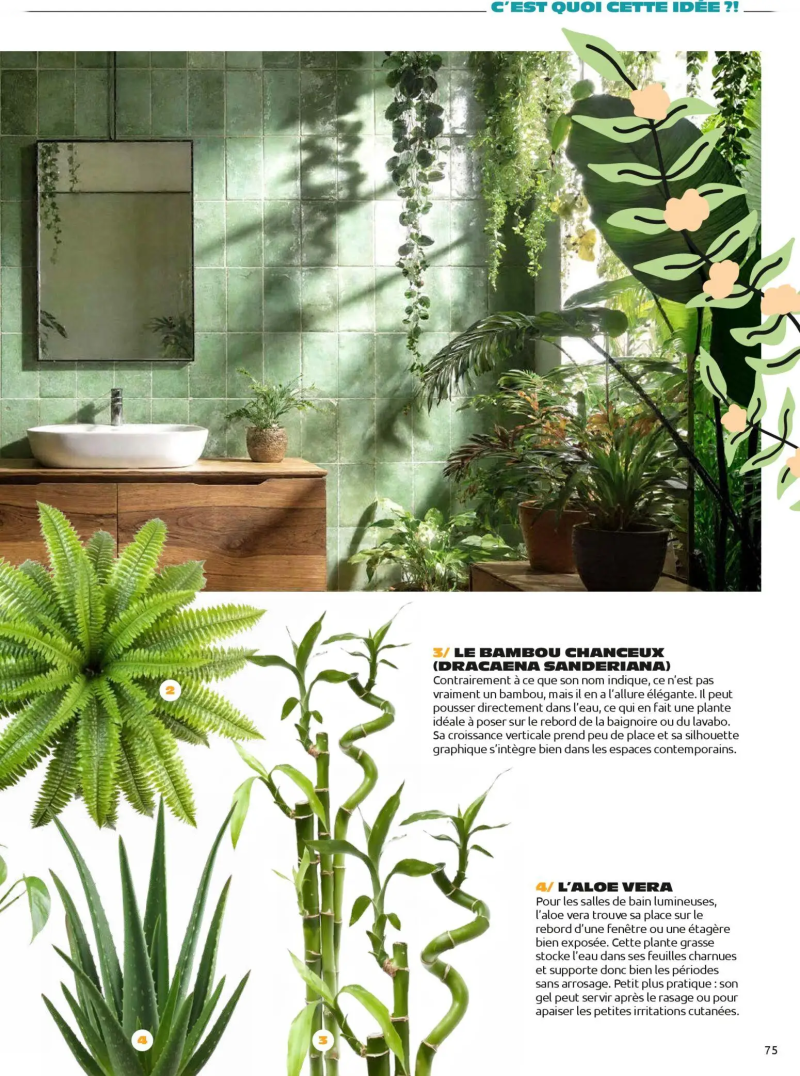 Mr.Bricolage catalogue du 01/04 – page 75