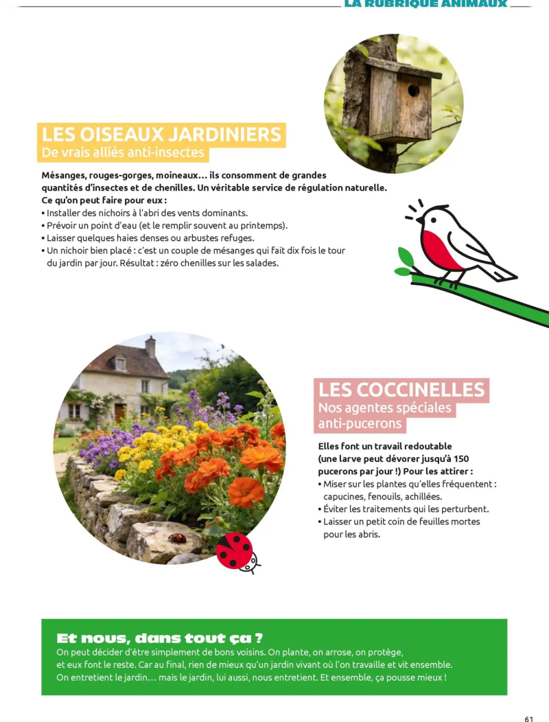 Mr.Bricolage catalogue du 01/04 – page 61