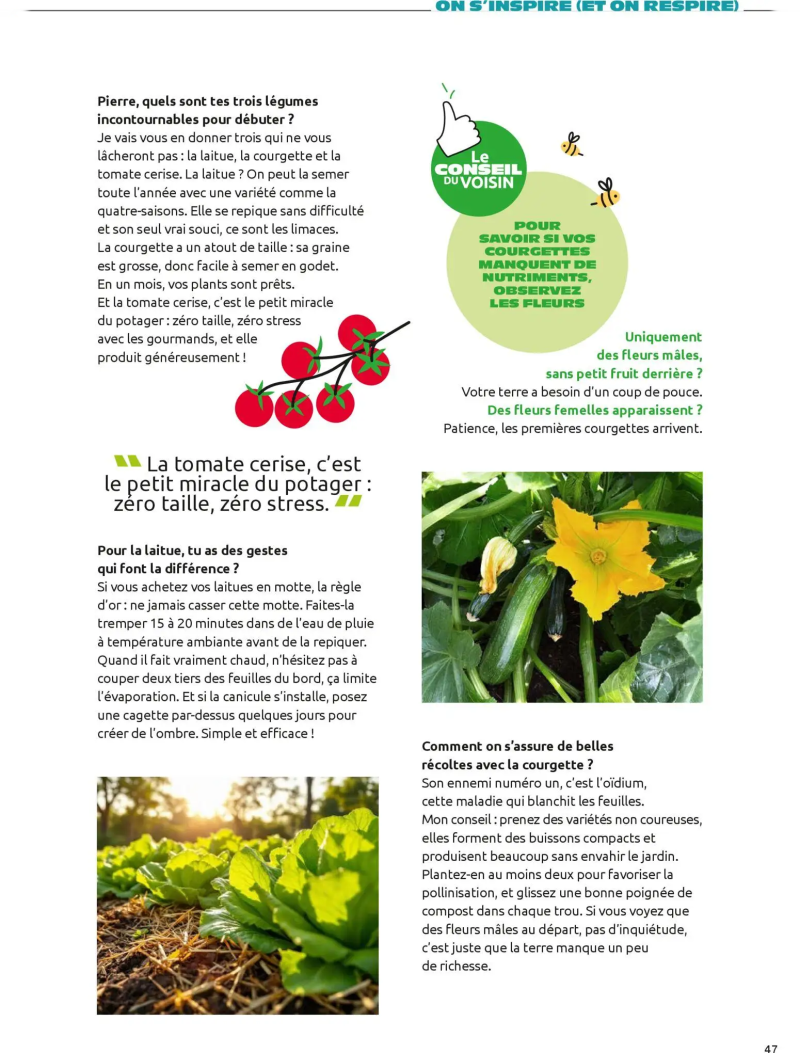 Mr.Bricolage catalogue du 01/04 – page 47
