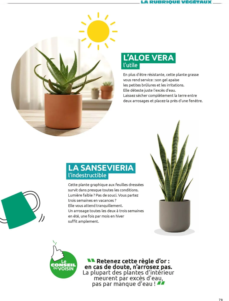 Mr.Bricolage catalogue du 01/04 – page 79