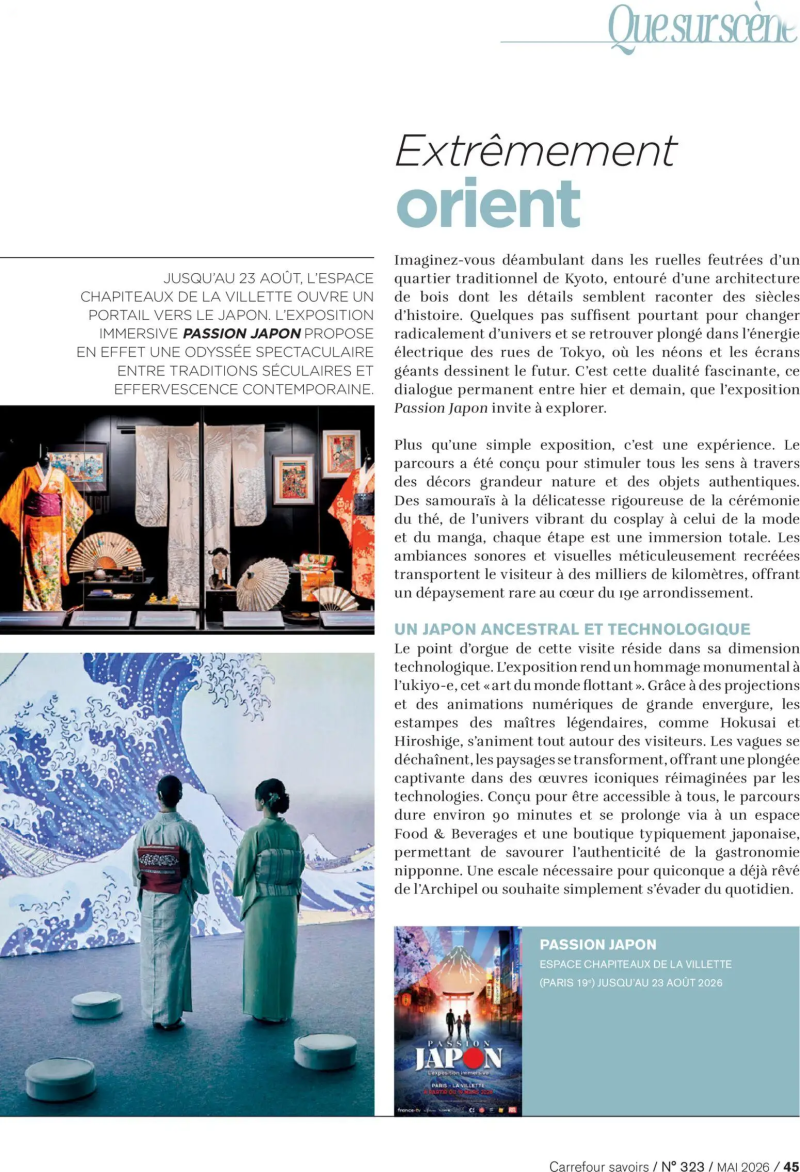 Carrefour catalogue du 01/05 – page 45