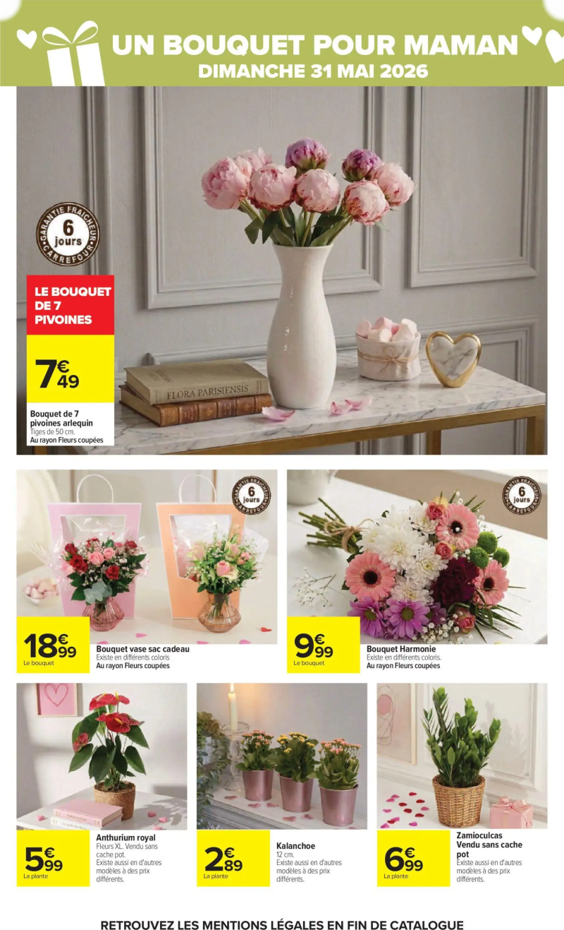Carrefour catalogue du 26/05 – page 12