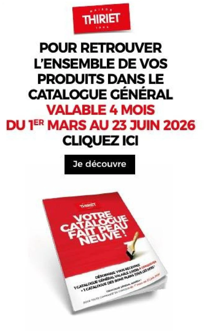 Thiriet catalogue du 29/05 – page 21