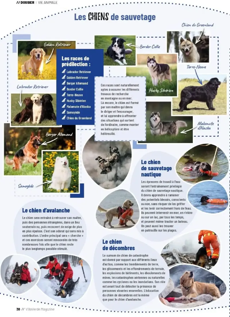 VillaVerde catalogue du 28/05 – page 38
